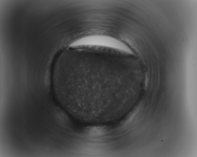 X0000089740303200707121512