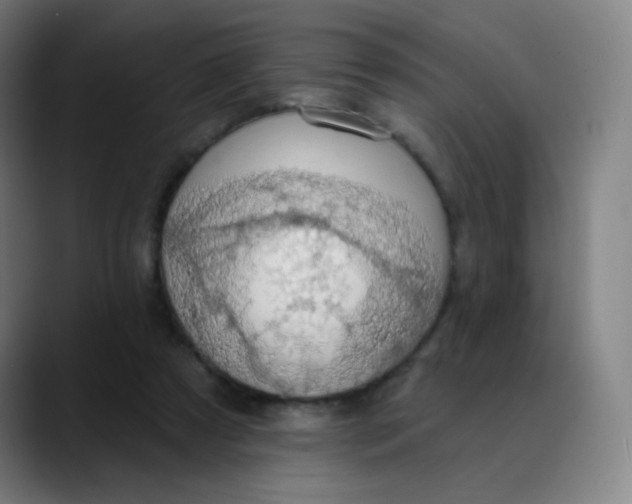 X0000089740305200707121512