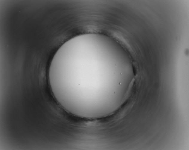 X0000089740306200707121512