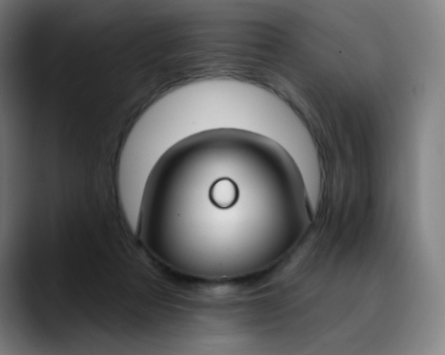 X0000089740313200707121512