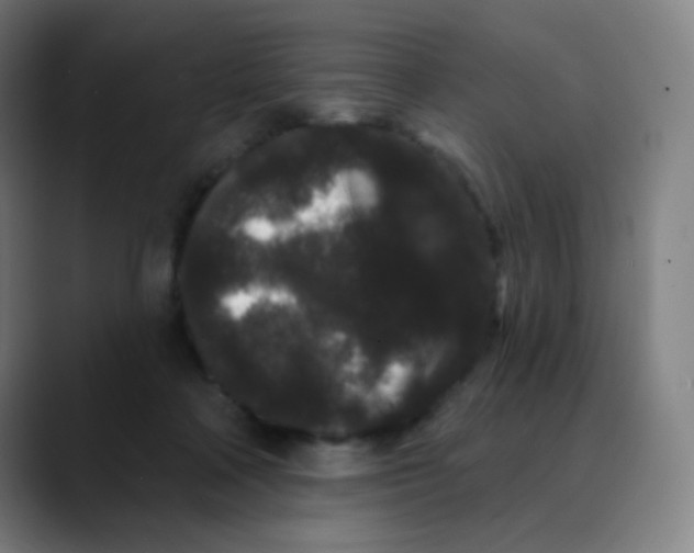 X0000089740314200707121512