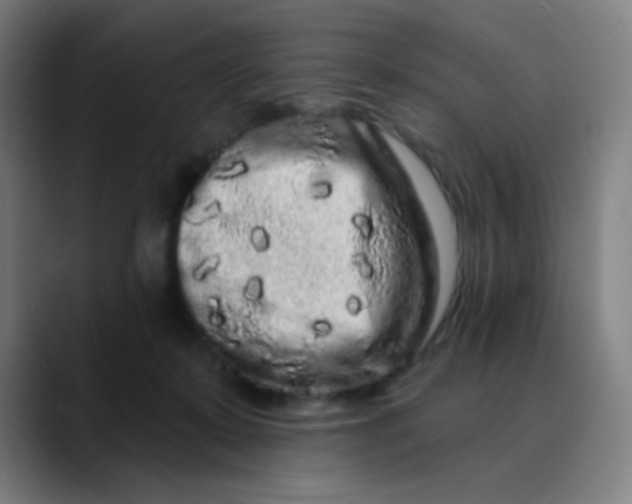 X0000089740319200707121512