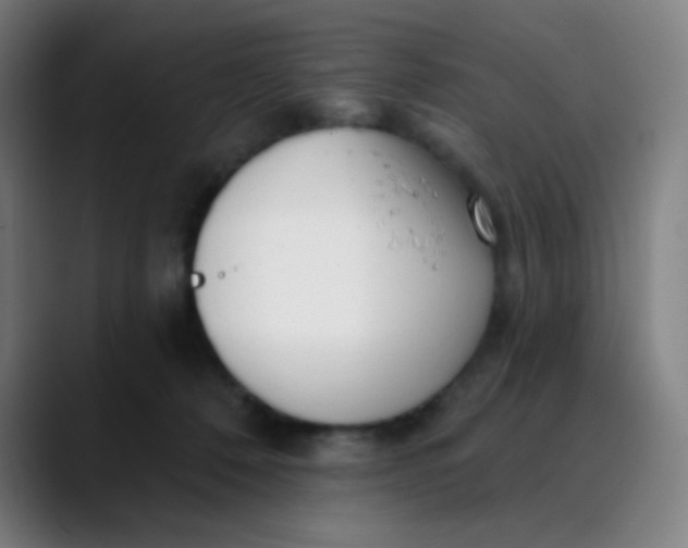 X0000089740320200707121512