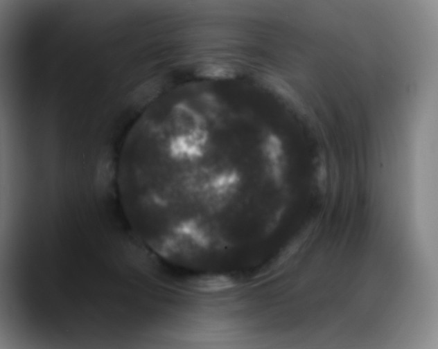 X0000089740322200707121512