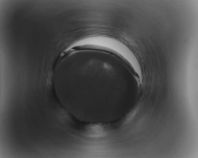 X0000089740325200707121512