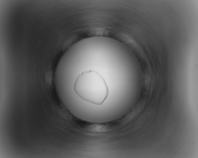 X0000089740326200707121512