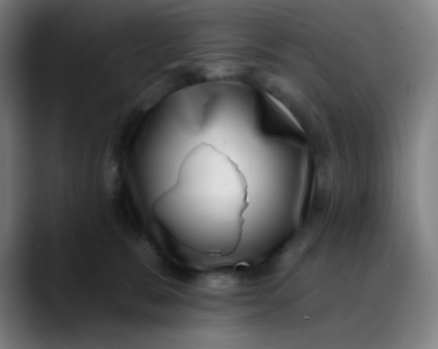 X0000089740327200707121512