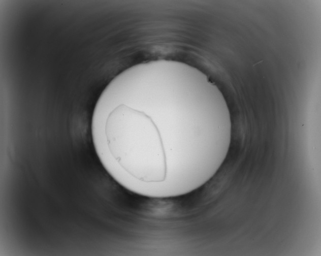 X0000089740328200707121512