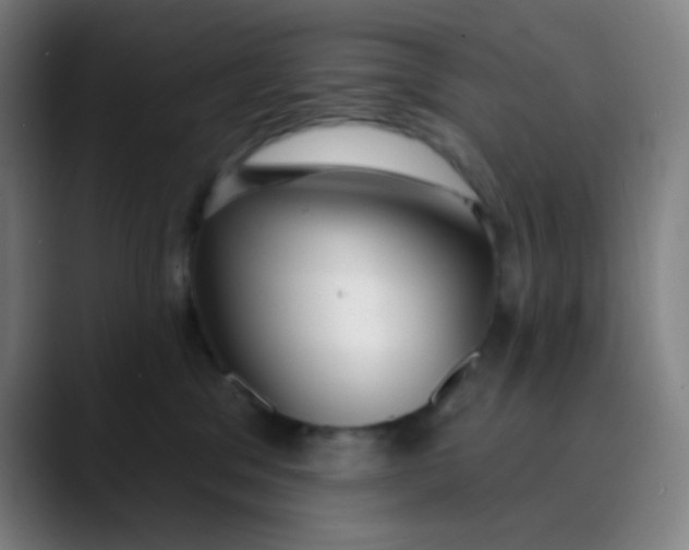 X0000089740329200707121512