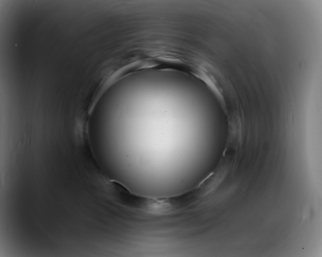 X0000089740333200707121512