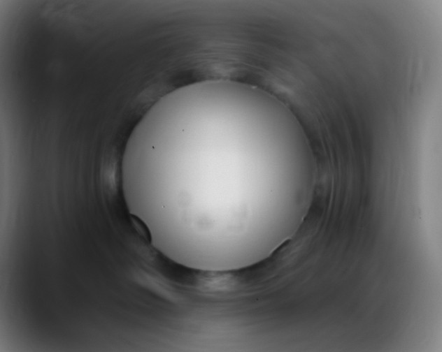 X0000089740334200707121512