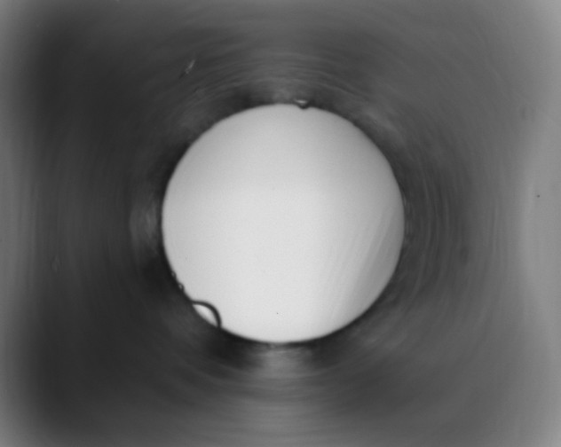 X0000089740336200707121512