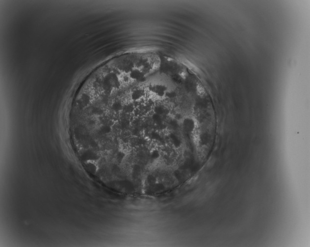 X0000089740337200707121511