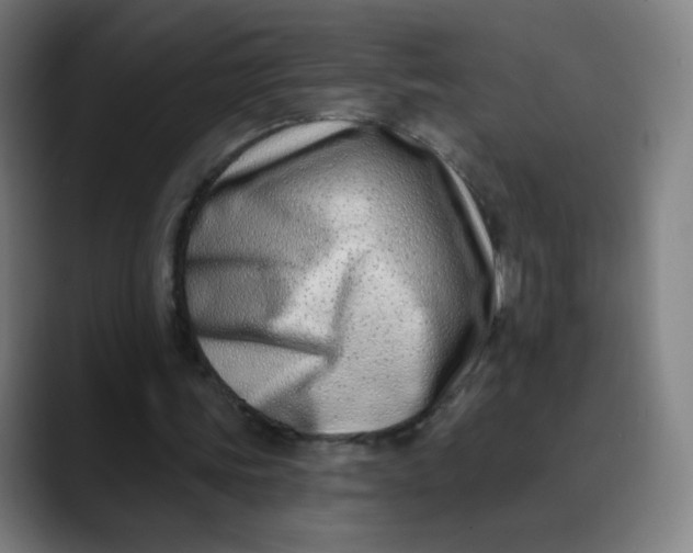 X0000089740339200707121511