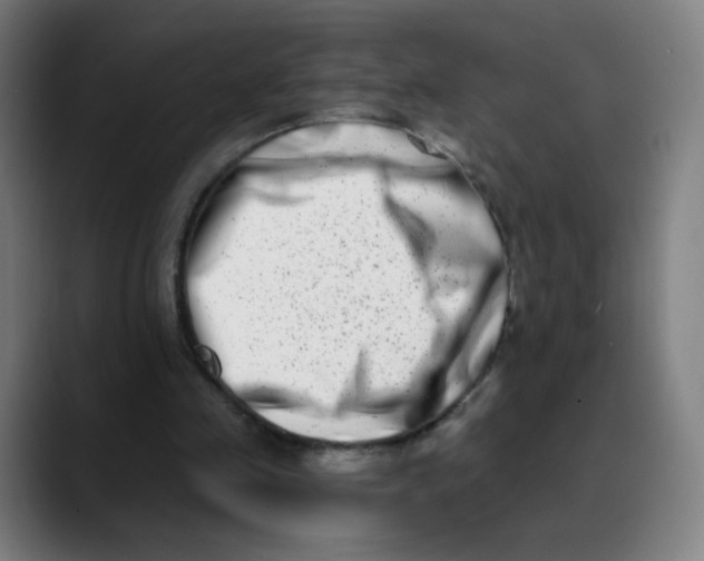 X0000089740341200707121511