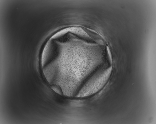 X0000089740342200707121511