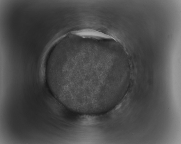 X0000089740343200707121511