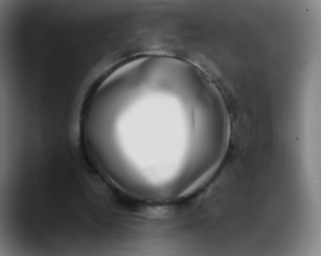 X0000089740344200707121511