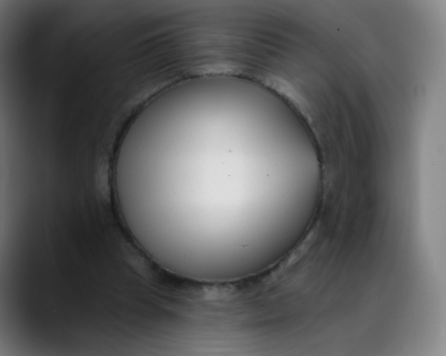 X0000089740345200707121511