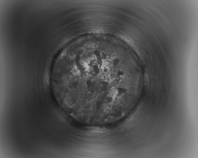 X0000089740347200707121511