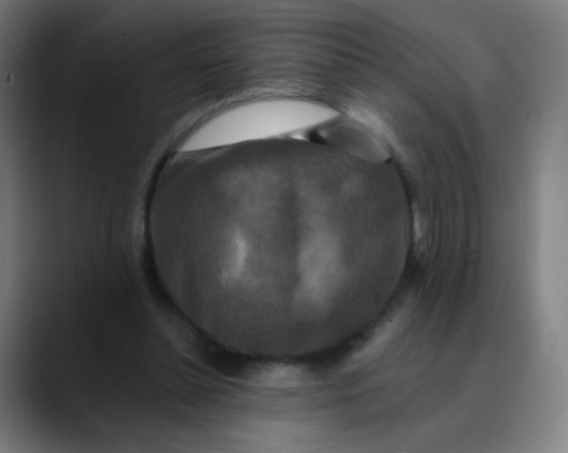 X0000089740348200707121511