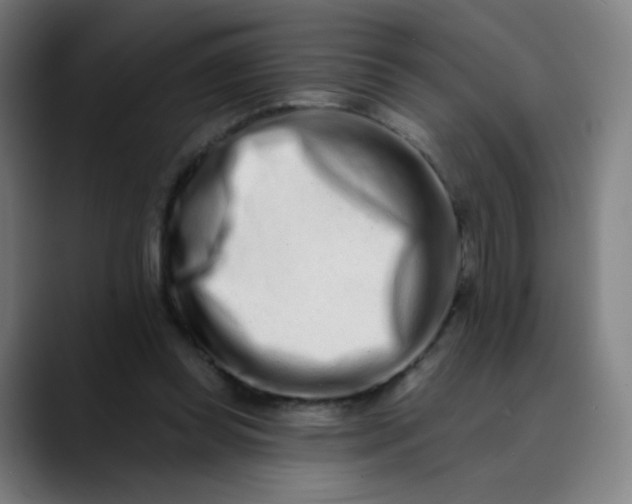 X0000089740349200707121511