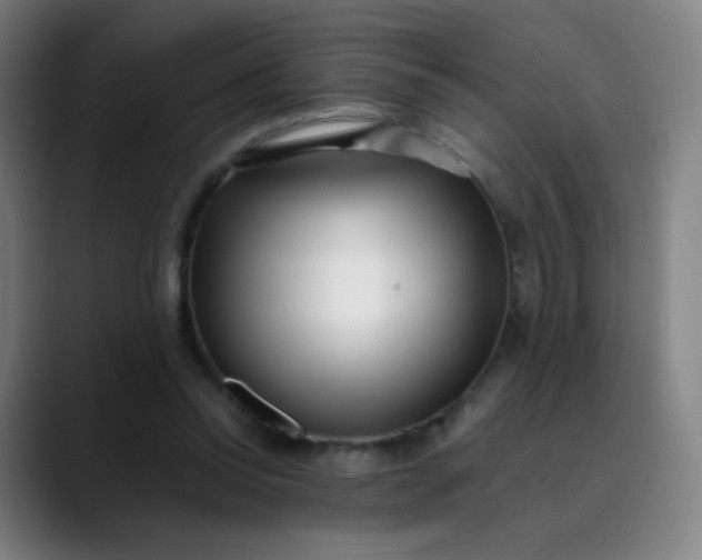 X0000089740350200707121511