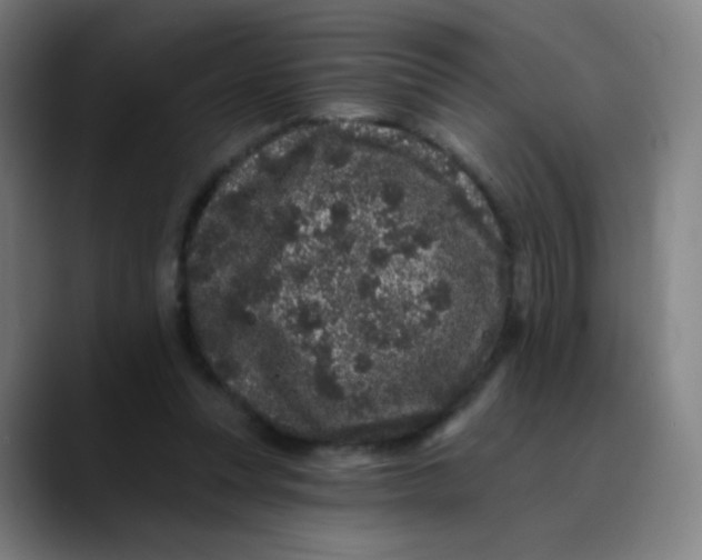 X0000089740351200707121511