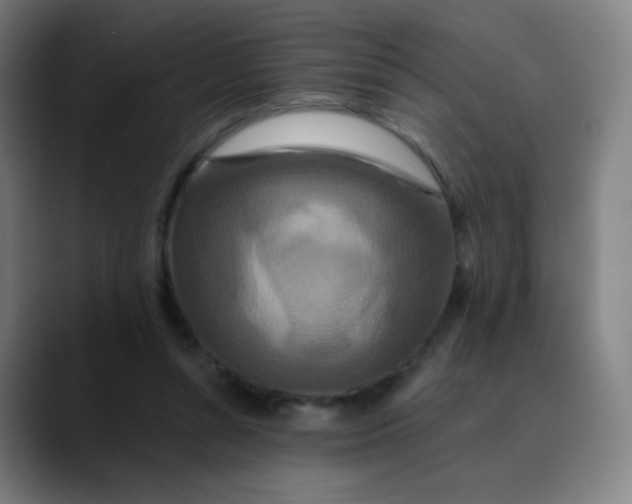 X0000089740352200707121511