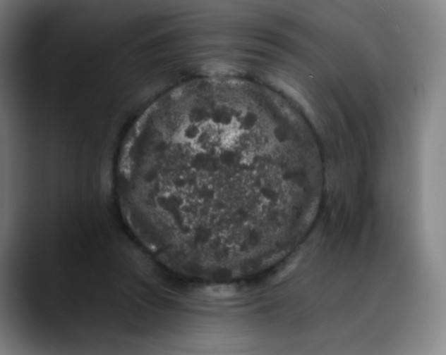 X0000089740353200707121511