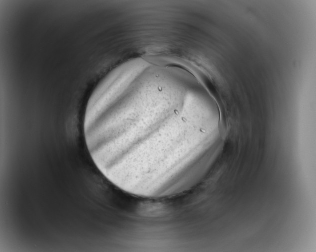 X0000089740354200707121511