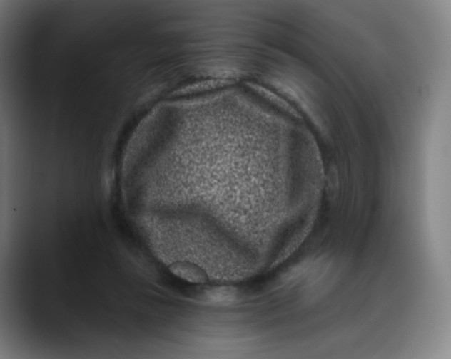 X0000089740355200707121511