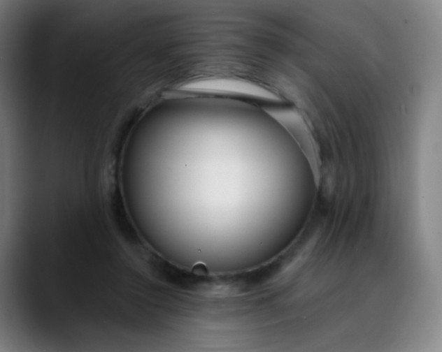 X0000089740356200707121511