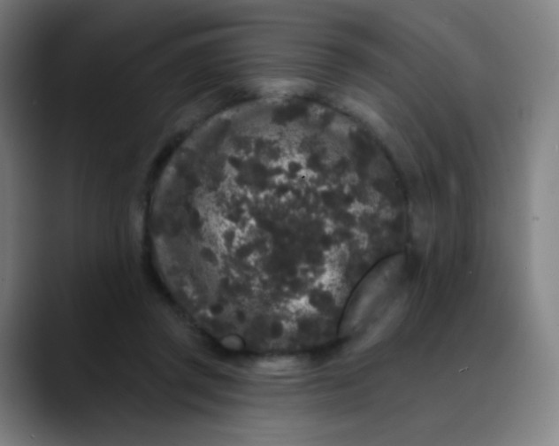 X0000089740357200707121511