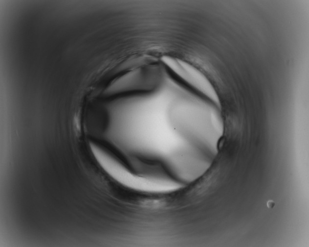 X0000089740358200707121511