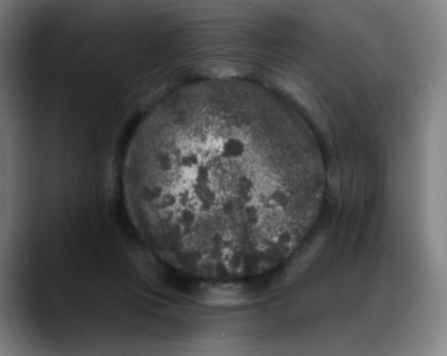 X0000089740359200707121511