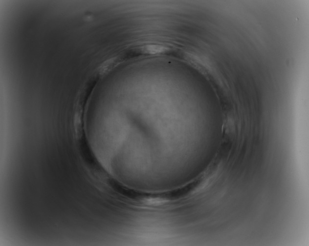 X0000089740360200707121511