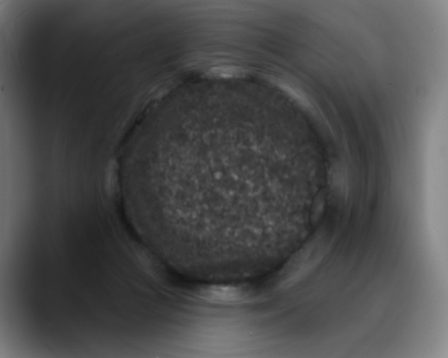 X0000089740361200707121511