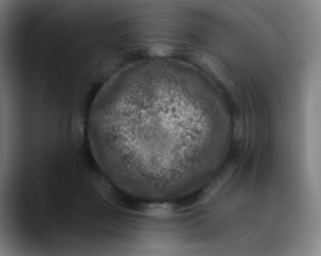 X0000089740363200707121511