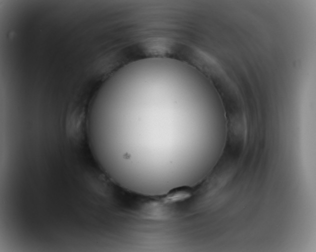 X0000089740364200707121511