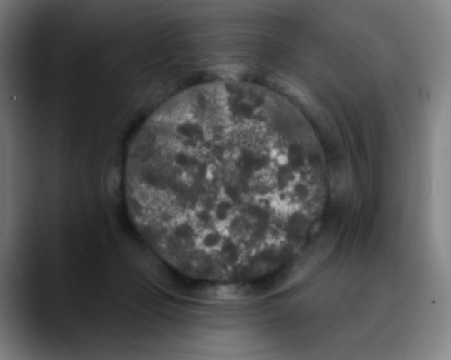 X0000089740365200707121511