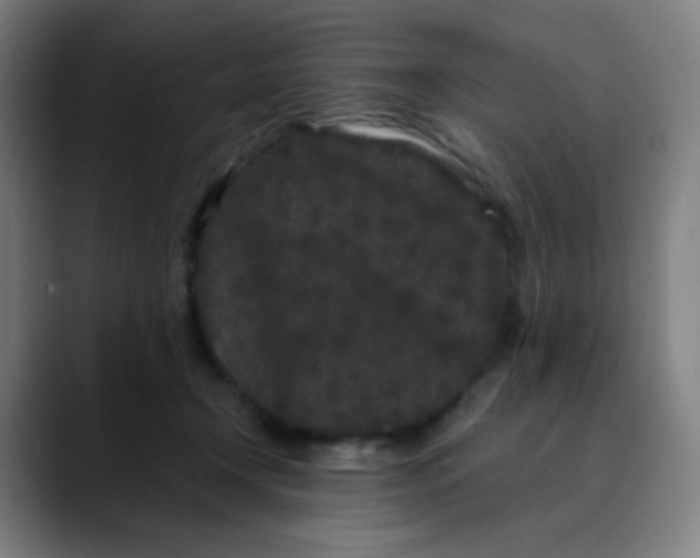 X0000089740366200707121511