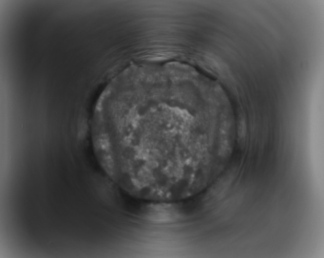 X0000089740367200707121511