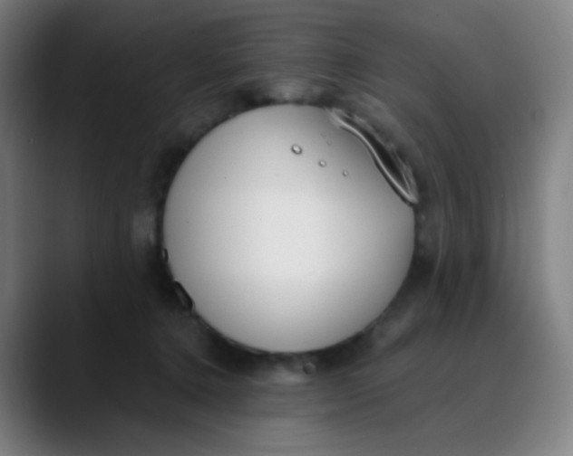 X0000089740368200707121511