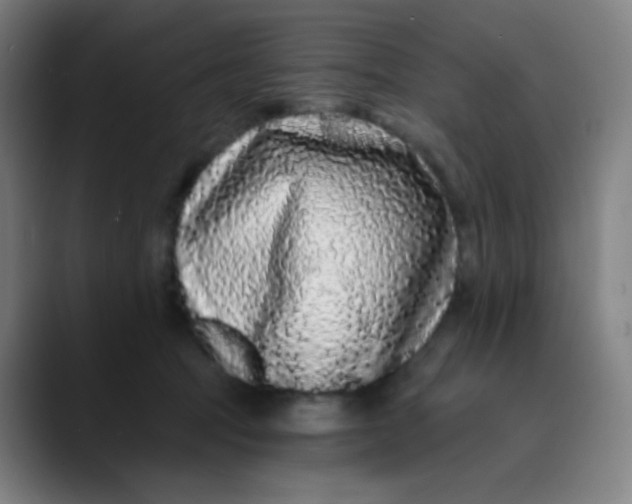 X0000089740369200707121511