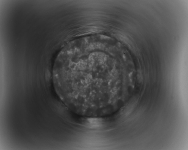 X0000089740371200707121511