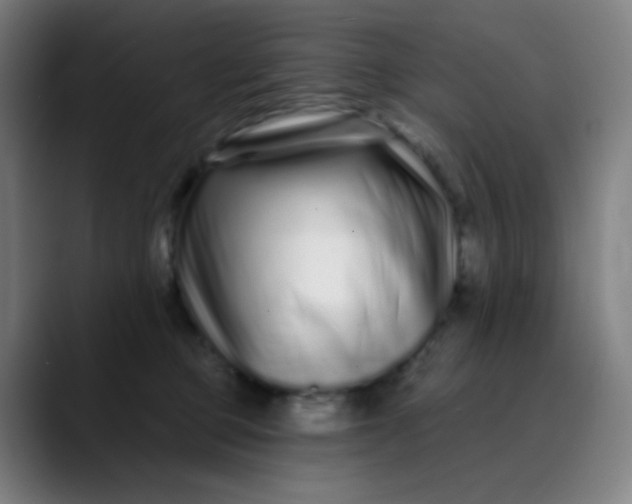 X0000089740373200707121511