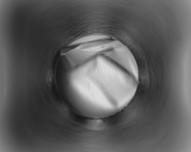 X0000089740374200707121511