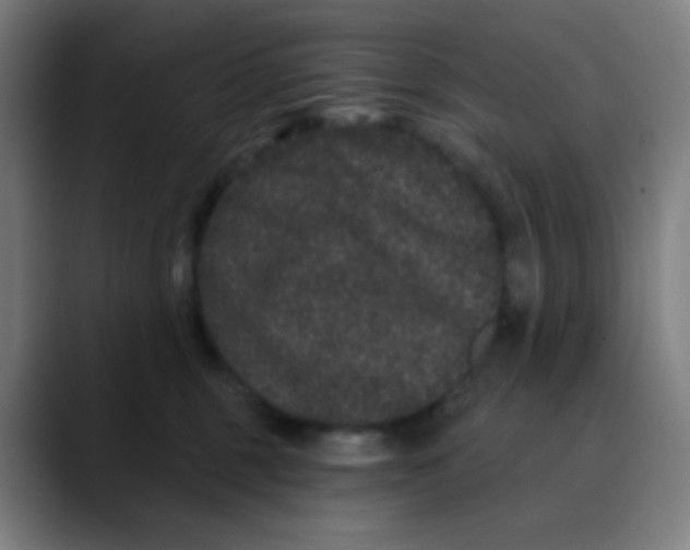 X0000089740375200707121511