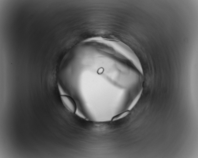 X0000089740376200707121511